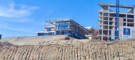 IMG_20230324_112556